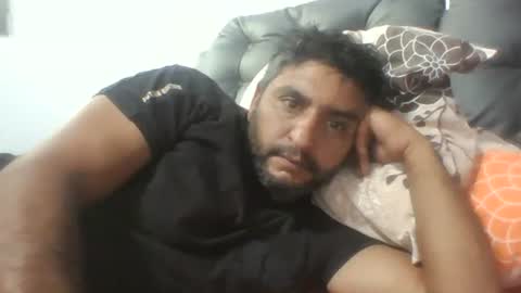 07901767463 online show from 09/10/25, 06:57