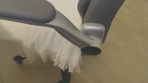 09seb09 online show from 04/17/26, 07:28