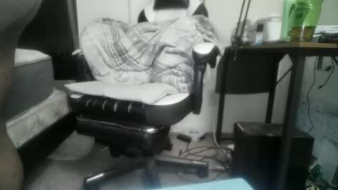 11inchtattedtrinibad online show from 02/17/26, 09:50