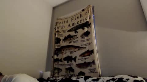 18str8igcock online show from 11/01/25, 10:56