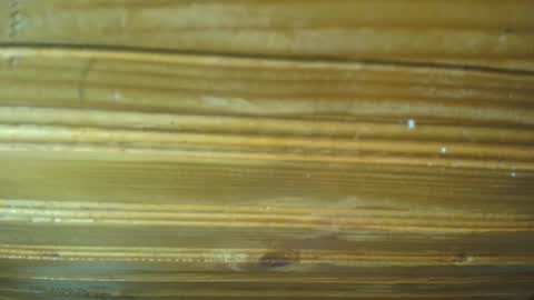 Snapshot of 19carla chatting on 02/21/25, 11:44 Carl the good girl online show from 02/21/25, 11:44