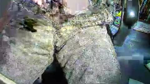 1etabrutahc0 online show from 01/07/26, 12:29