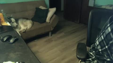 1handyanddee online show from 11/30/25, 01:53