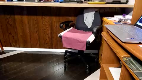 Snapshot of 1hotcrossdresser chatting on 01/04/25, 10:24 Brianna online show from 01/04/25, 10:24