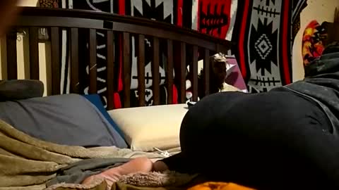 1knightluver69 online show from 04/05/26, 08:44