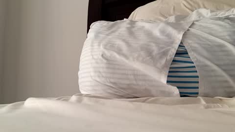 Snapshot of 2022felipe chatting on 12/14/24, 08:18 2022felipe online show from 12/14/24, 08:18