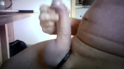 28wombat12 online show from 07/21/26, 05:21