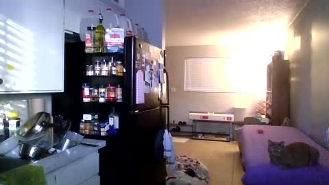 2girls1link online show from 12/31/24, 03:31