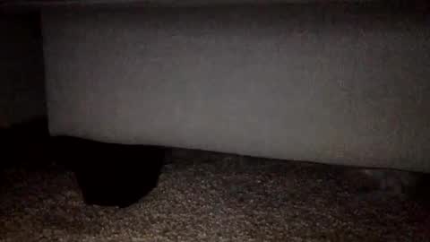 Snapshot of 30nick chatting on 02/02/26, 03:16 30nick online show from 02/02/26, 03:16