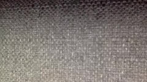 30nick online show from 04/08/26, 06:46