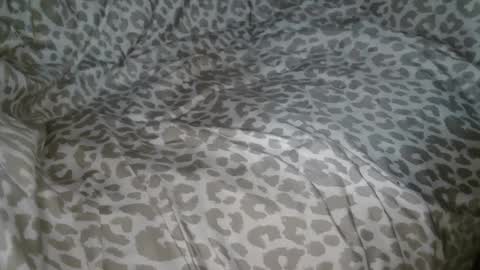 Phil online show from 09/23/25, 01:41