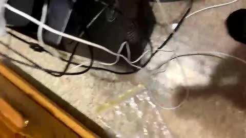 Snapshot of 420bbwadmirer chatting on 01/04/25, 03:17 420bbwlover online show from 01/04/25, 03:17