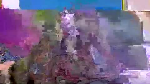 4nuf online show from 01/15/25, 07:48