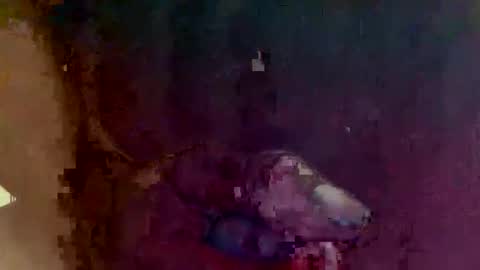 Snapshot of 4utootrynow859326 chatting on 03/02/26, 01:40 4utootry online show from 03/02/26, 01:40