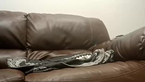 50groupauto online show from 01/14/26, 12:05