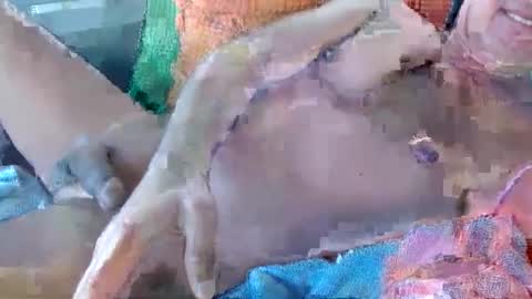 Daddy online show from 11/17/25, 10:59