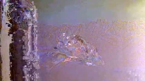 Zeus online show from 11/01/25, 06:15