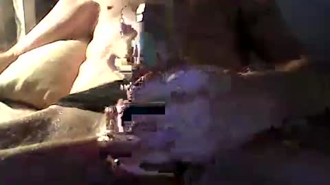 Zeus online show from 04/14/26, 10:54