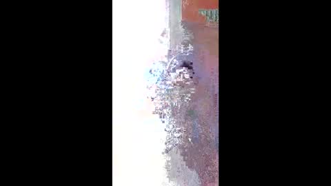 Zeus online show from 04/22/26, 11:23