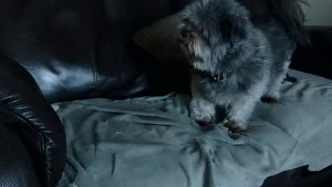 Snapshot of 66bear chatting on 12/22/24, 11:00 66bear online show from 12/22/24, 11:00