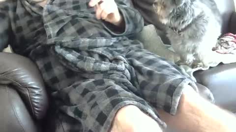 Snapshot of 66bear chatting on 12/25/24, 04:43 66bear online show from 12/25/24, 04:43