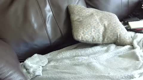 Snapshot of 66bear chatting on 01/31/25, 06:57 66bear online show from 01/31/25, 06:57