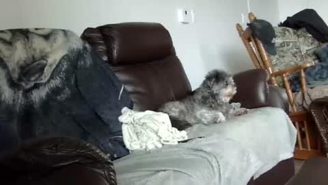 Snapshot of 66bear chatting on 12/21/25, 02:02 66bear online show from 12/21/25, 02:02