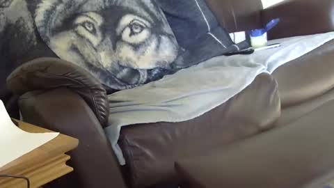 Snapshot of 66bear chatting on 03/09/26, 12:53 66bear online show from 03/09/26, 12:53