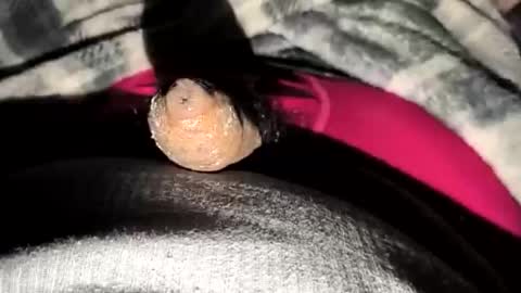 69angel96 online show from 12/23/25, 06:33