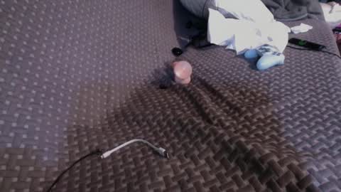 Snapshot of 69ass_tastic chatting on 03/02/25, 04:53 Chris online show from 03/02/25, 04:53