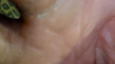 Snapshot of 69dick_fitzwell69 chatting on 12/07/24, 09:00 HUGH G RECTION online show from 12/07/24, 09:00