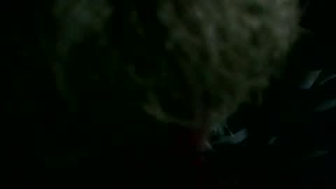 Snapshot of 69sextoyboy69 chatting on 12/23/25, 05:38 69sextoyboy69 online show from 12/23/25, 05:38