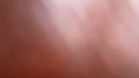 bob big head online show from 03/12/25, 06:29