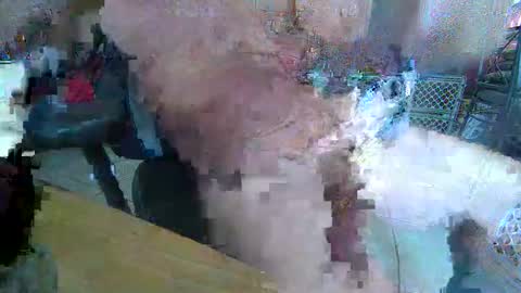 86406stud online show from 04/10/26, 07:07