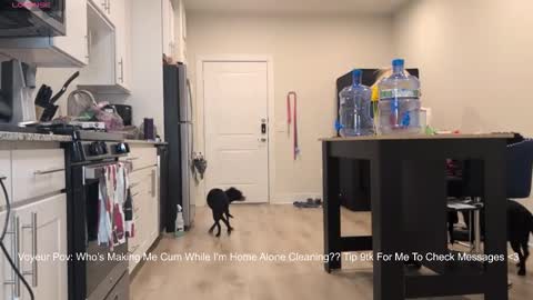 888lucky online show from 02/14/26, 02:19