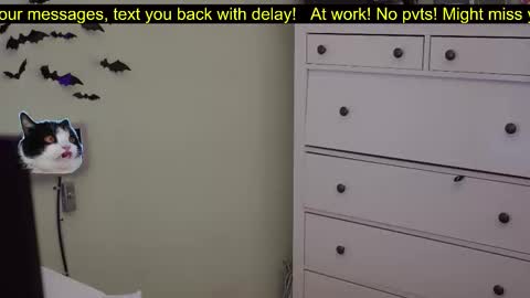 Snapshot of _3x7_ chatting on 10/07/25, 06:16 _3x7_ online show from 10/07/25, 06:16