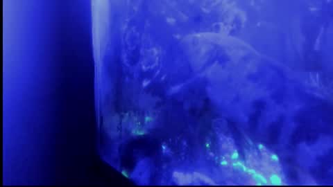 Snapshot of _always__horny chatting on 10/29/25, 04:37 Giulia...... online show from 10/29/25, 04:37