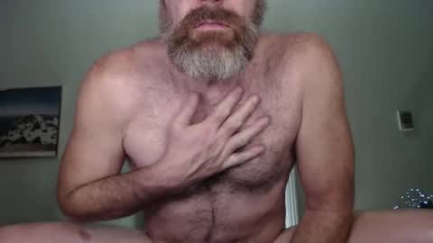 Snapshot of _bacchus chatting on 12/28/24, 03:37 Bacchus online show from 12/28/24, 03:37