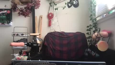 Snapshot of _bandit_b0y chatting on 12/26/24, 03:31 bandit online show from 12/26/24, 03:31