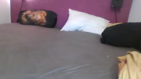 _bertl_ online show from 10/25/25, 08:36