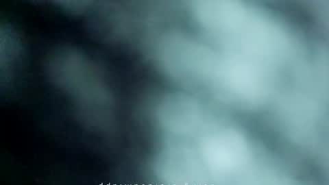 Snapshot of _black_horse_1 chatting on 05/15/26, 11:23 _black_horse_1 online show from 05/15/26, 11:23