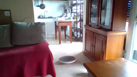 _bubble_buttfunxxx online show from 10/11/25, 09:41