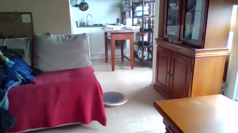 _bubble_buttfunxxx online show from 10/13/25, 10:26