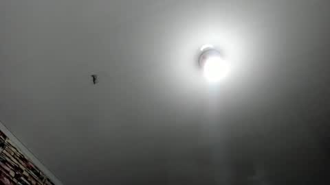 Snapshot of _casandra11 chatting on 02/17/25, 03:36 _casandra11 online show from 02/17/25, 03:36