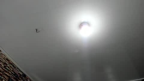 Snapshot of _casandra11 chatting on 02/28/25, 12:54 _casandra11 online show from 02/28/25, 12:54