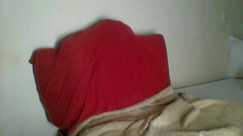 Snapshot of _clara01 chatting on 01/30/25, 11:02 clara online show from 01/30/25, 11:02