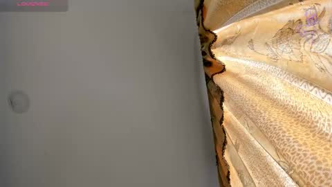 danik online show from 03/11/26, 08:26