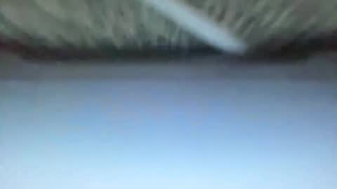 Snapshot of _direwolf_ chatting on 02/27/26, 10:59 _direwolf_ online show from 02/27/26, 10:59