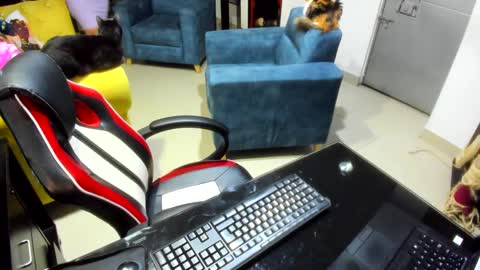 Emma online show from 02/07/25, 12:53