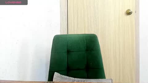 Snapshot of _feralberry__ chatting on 02/28/25, 09:25 Alis online show from 02/28/25, 09:25